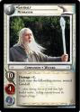 •Gandalf, Mithrandir (P)